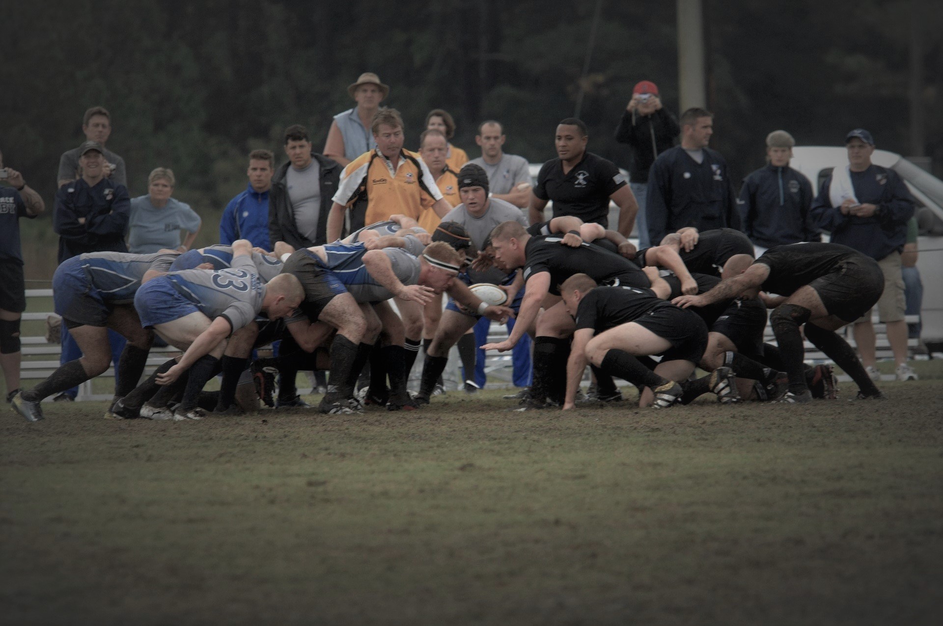 Lees meer over het artikel Rugby club Bassets