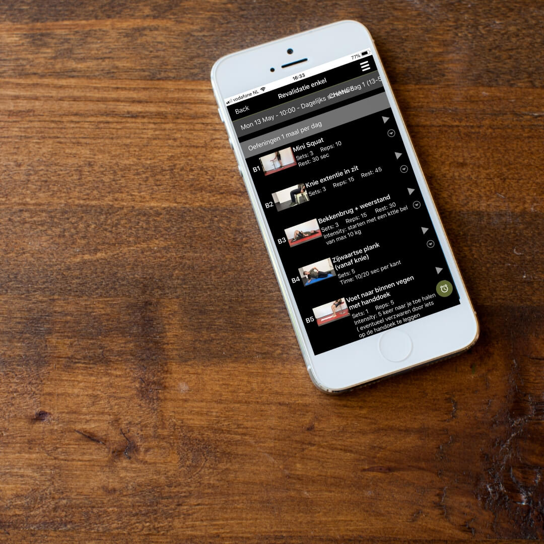 Lees meer over het artikel Online Fysiotherapie